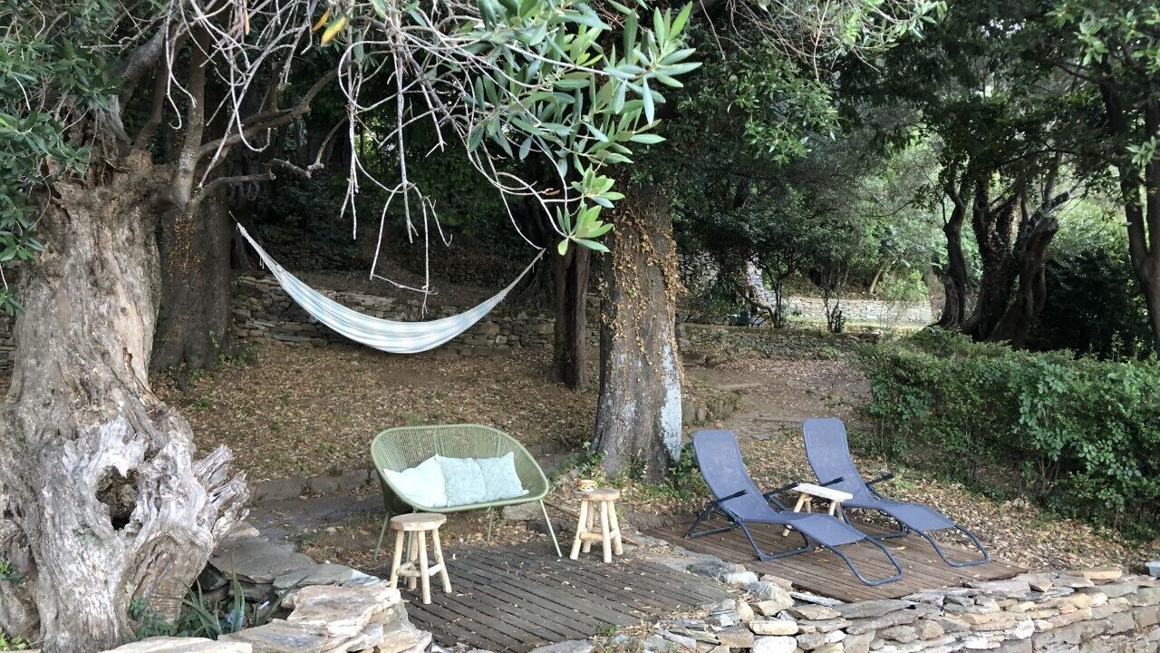 Photo of Outdoor in Sisco