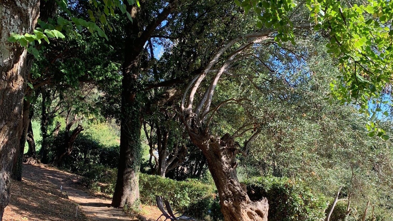 Photo of Outdoor in Sisco