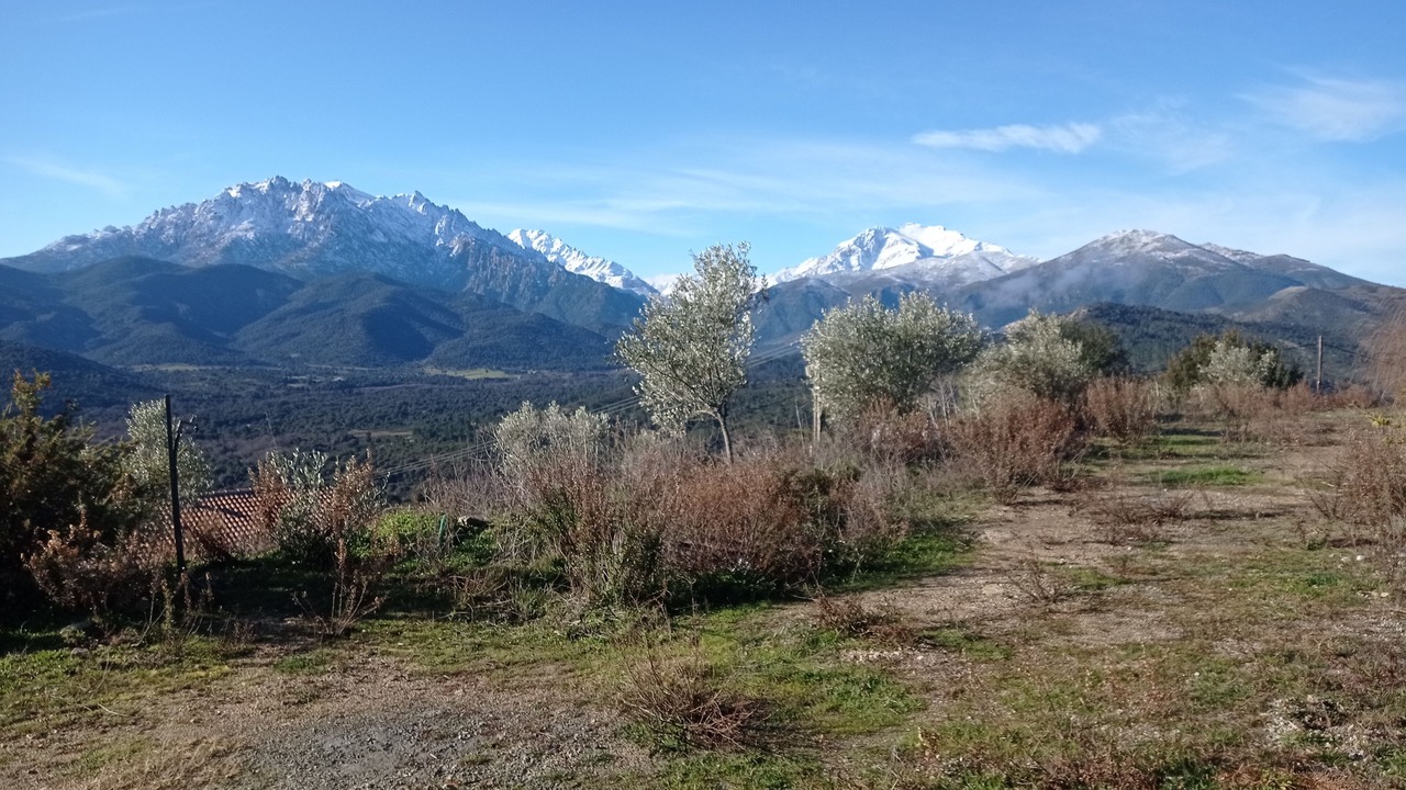Photo of Outdoor in Canavaggia
