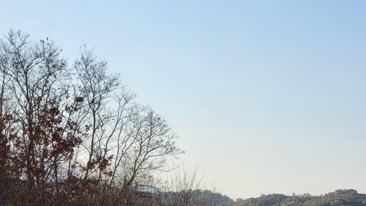 Photo of Outdoor in Talasani
