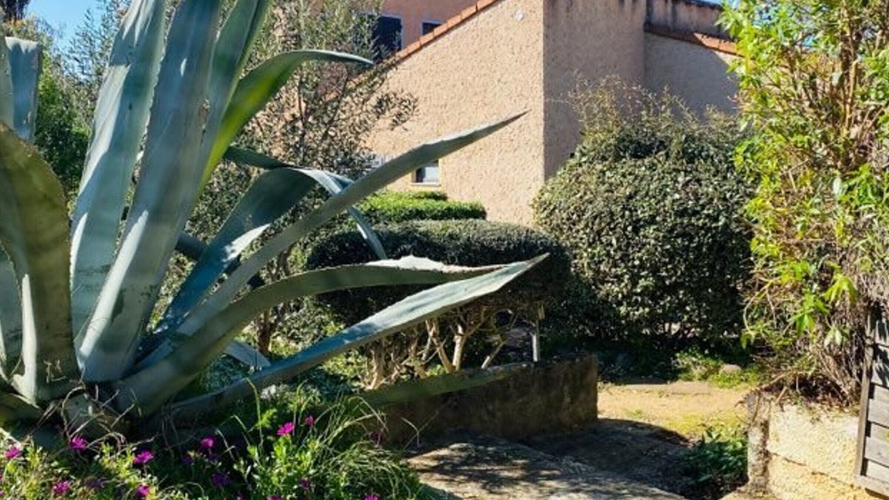 Photo of Outdoor in Marine de Saint Ambroggio