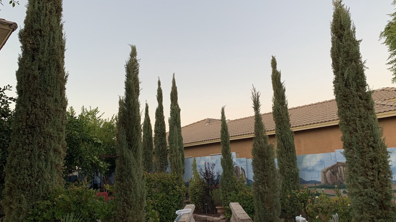 Photo of Outdoor in South Mountain