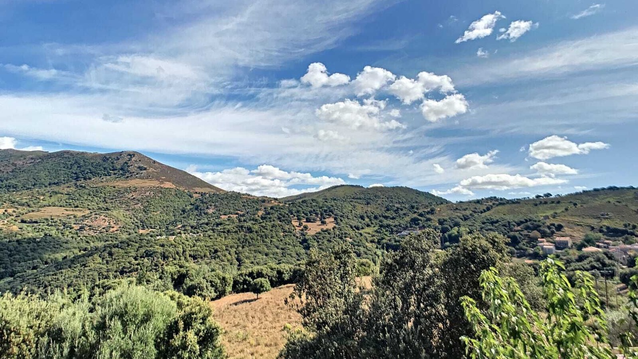Photo of Others in Arbellara