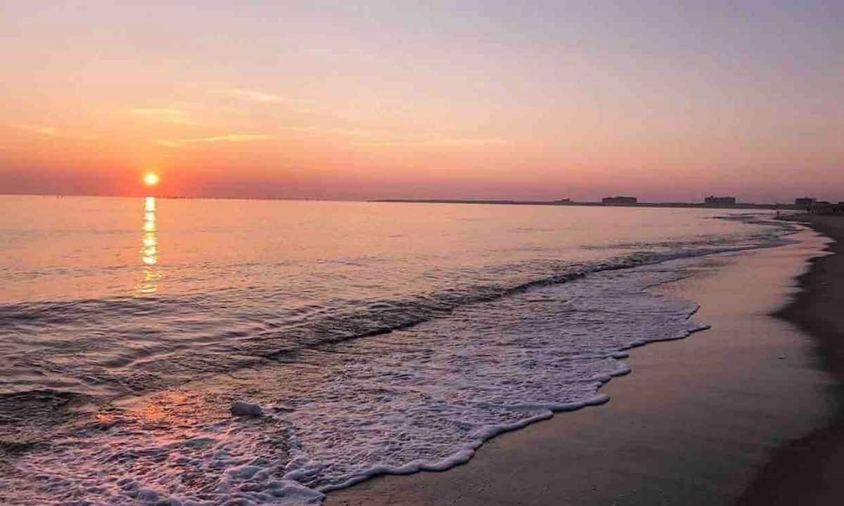 Photo of Others in Chic's Beach