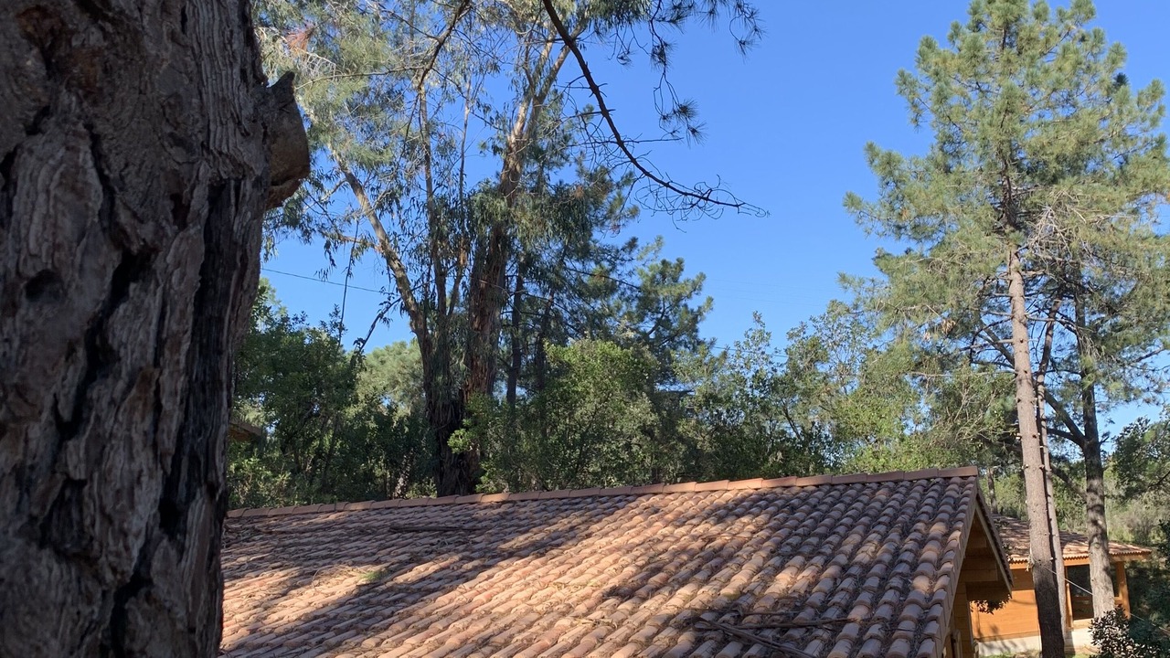 Photo of Outdoor in Grosseto-Prugna