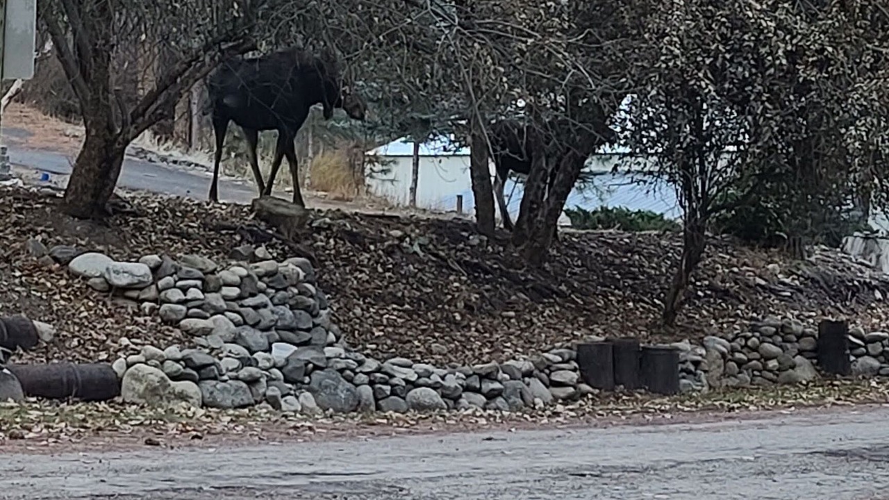 Photo of Outdoor in Colbert