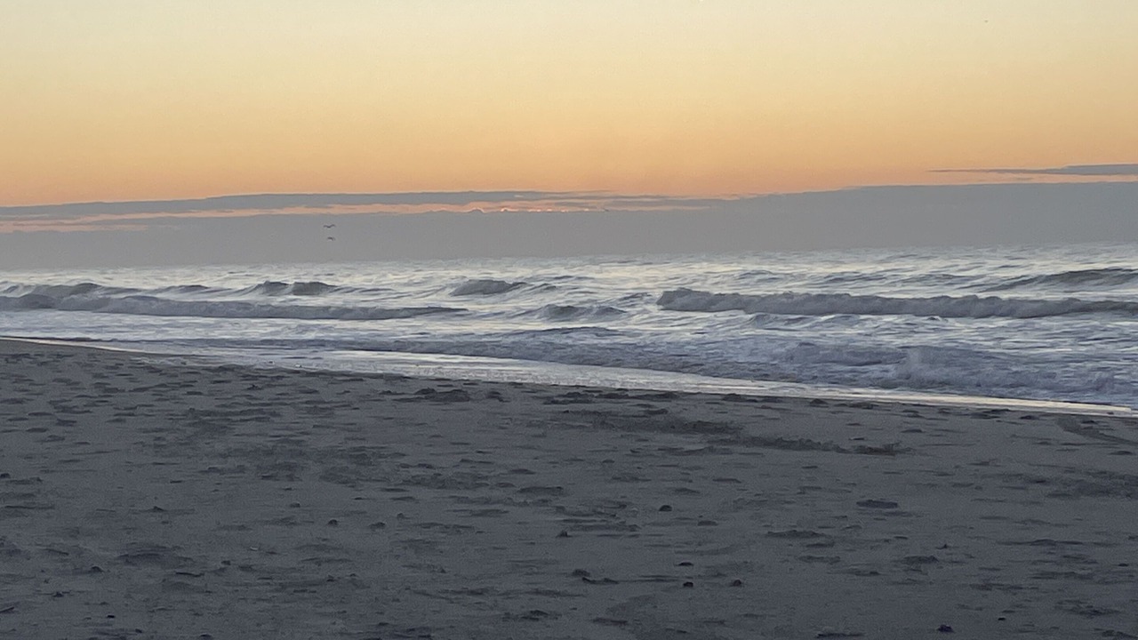Photo of Others in Atlantic Beach