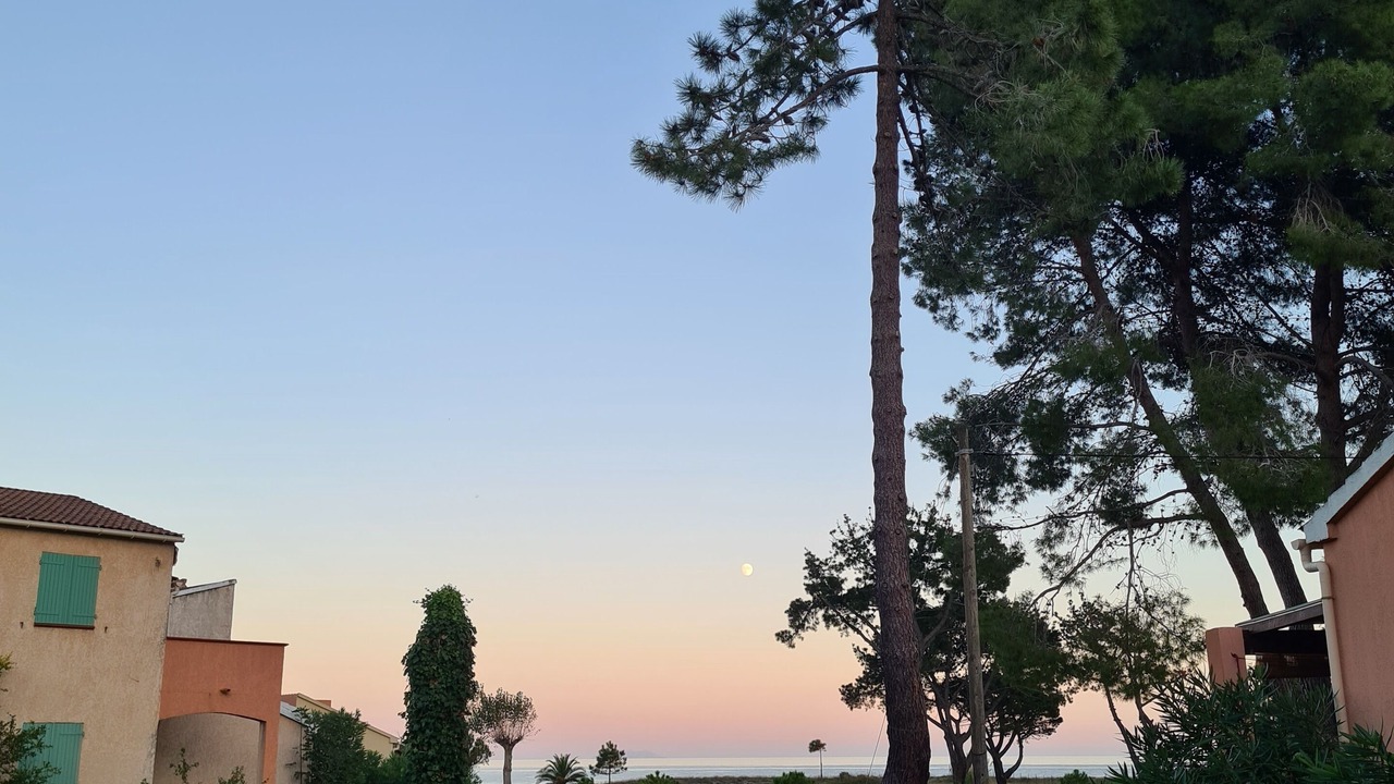 Photo of Outdoor in Poggio-Mezzana