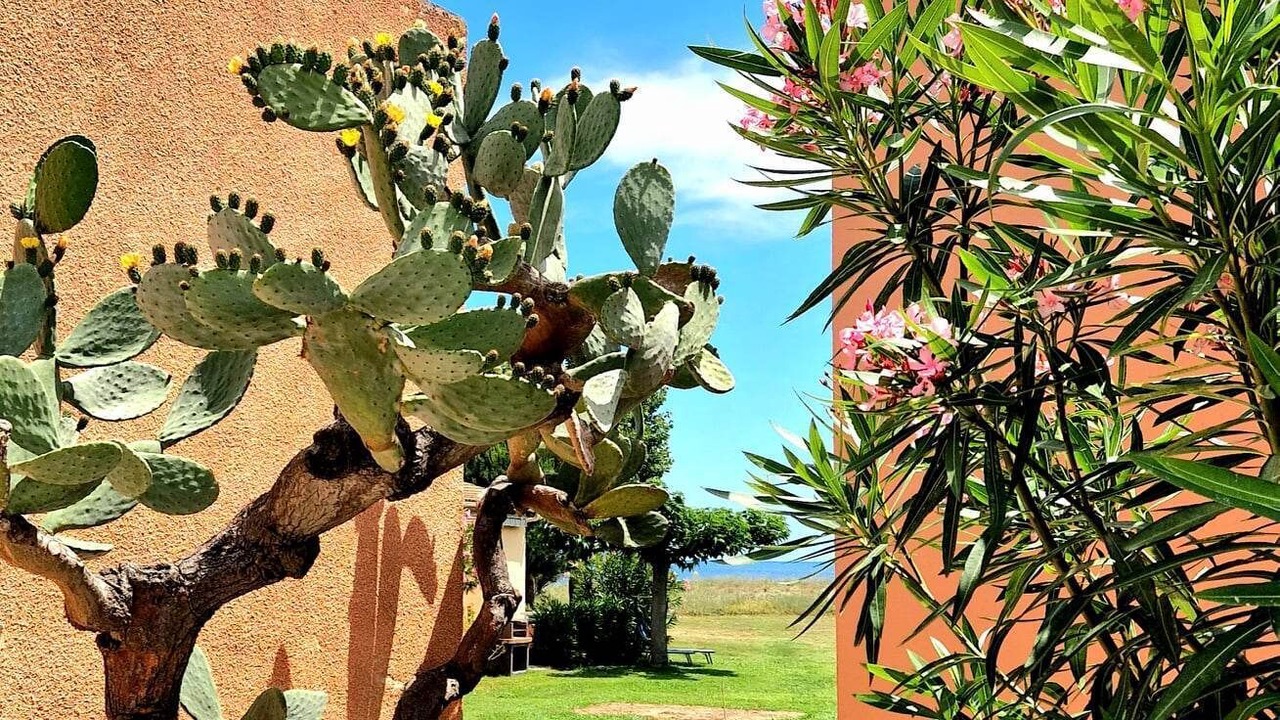 Photo of Outdoor in Poggio-Mezzana