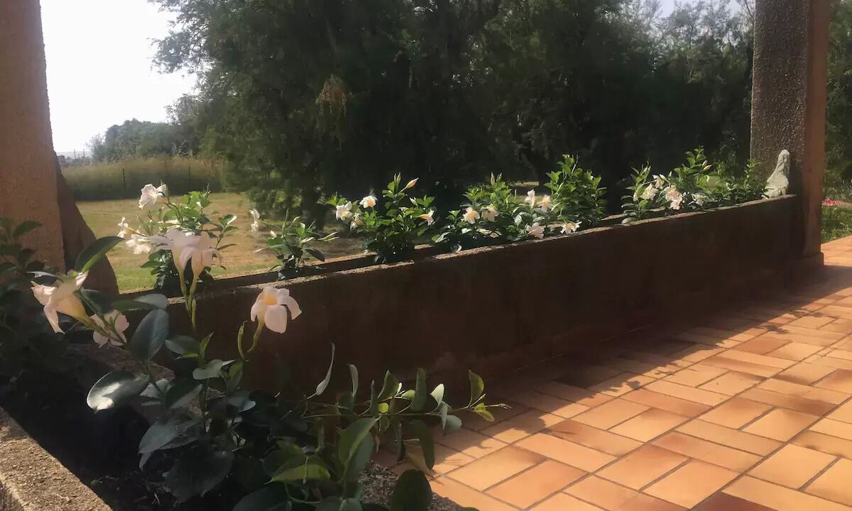 Photo of Outdoor in Solaro
