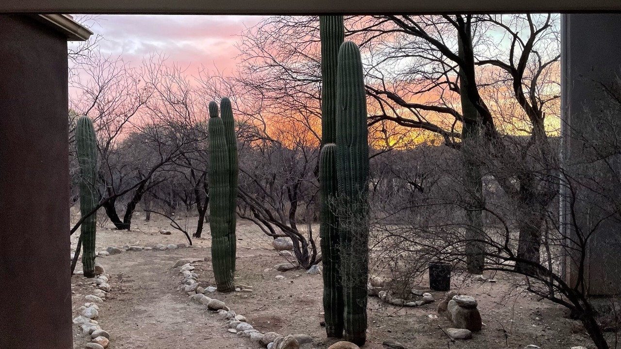 Photo of Others in Tanque Verde