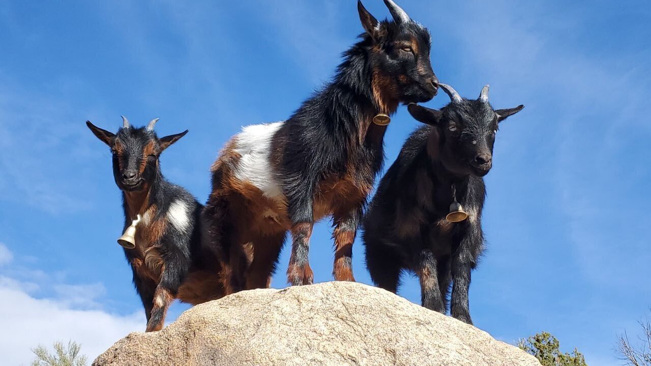 Photo of Others in Kingman
