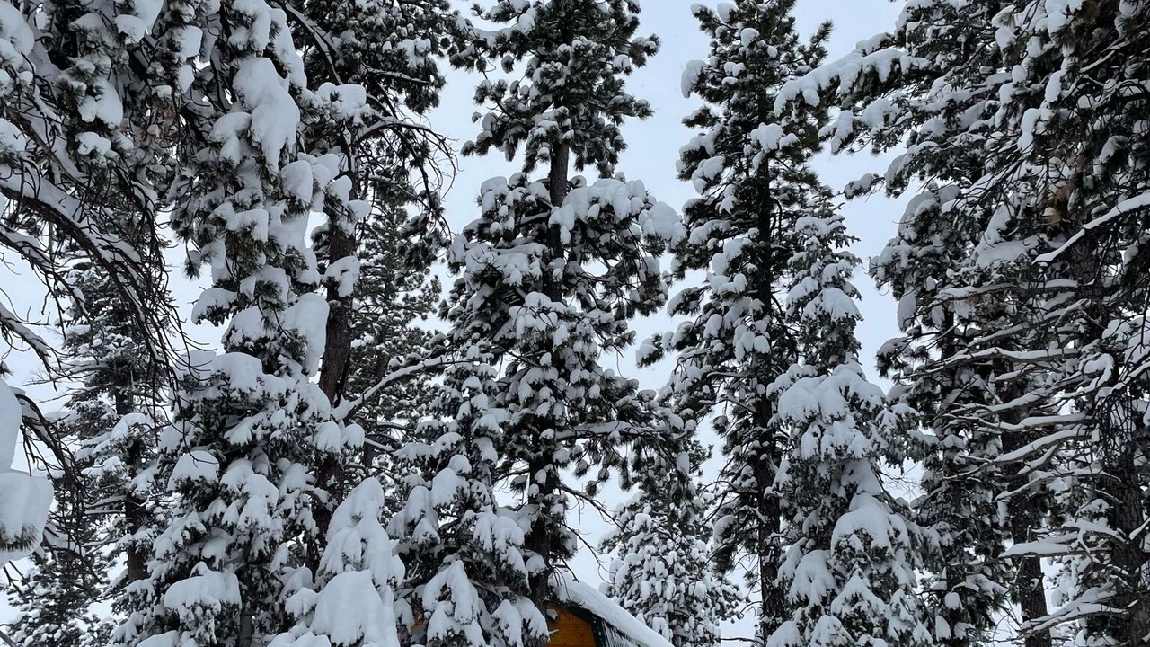 Photo of Others in Meadow View Heights