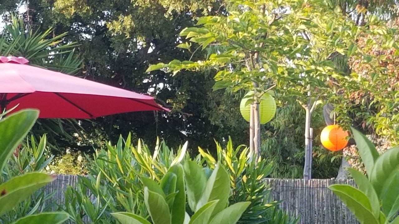 Photo of Outdoor in Canale-di-Verde