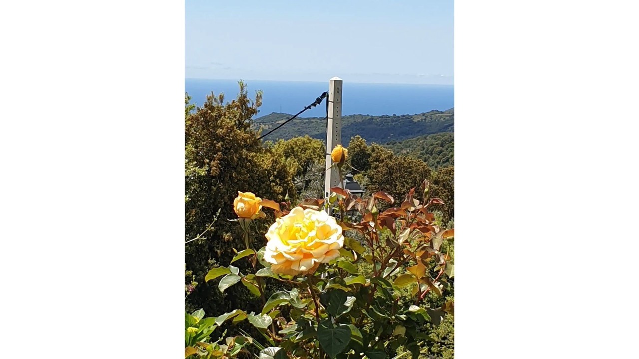 Photo of Outdoor in Sari-d'Orcino