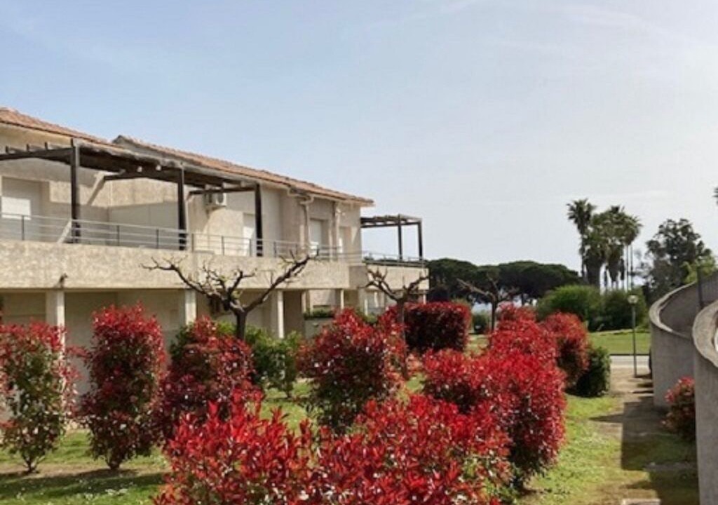 Photo of Outdoor in Poggio-Mezzana