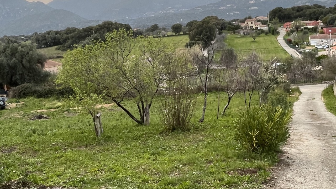Photo of Outdoor in Peri