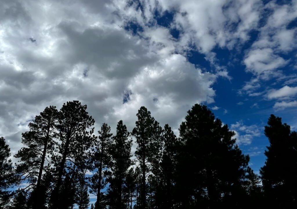Photo of Others in Pinetop-Lakeside