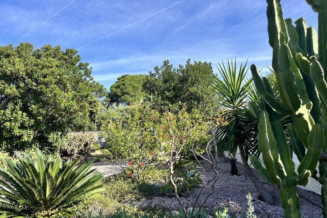 Photo of Outdoor in Isolella