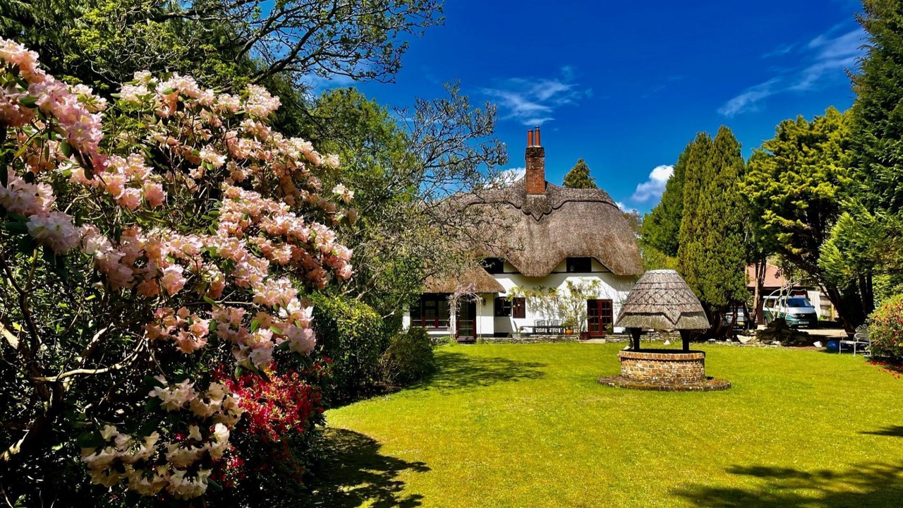 Photo of Outdoor in Ferndown