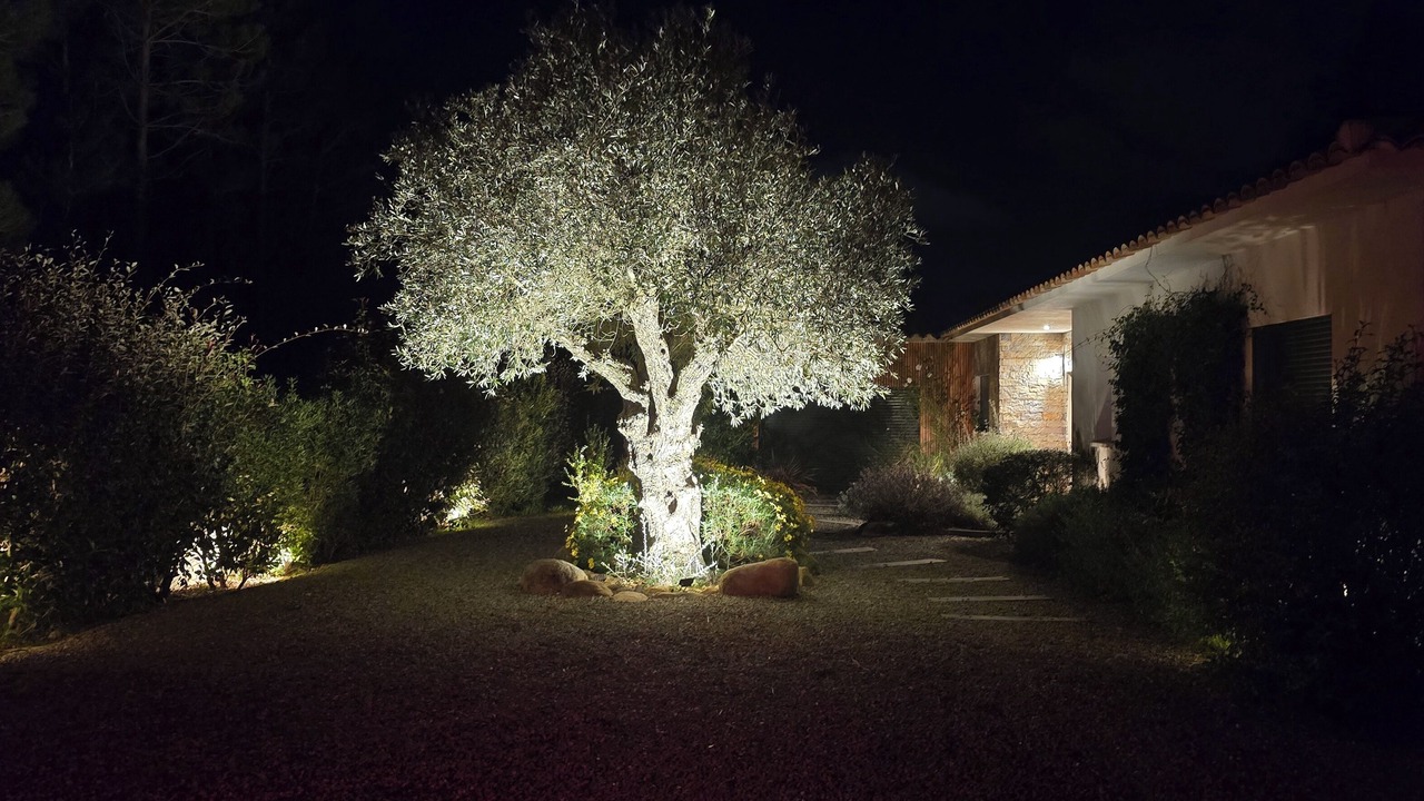 Photo of Outdoor in San-Gavino-di-Carbini