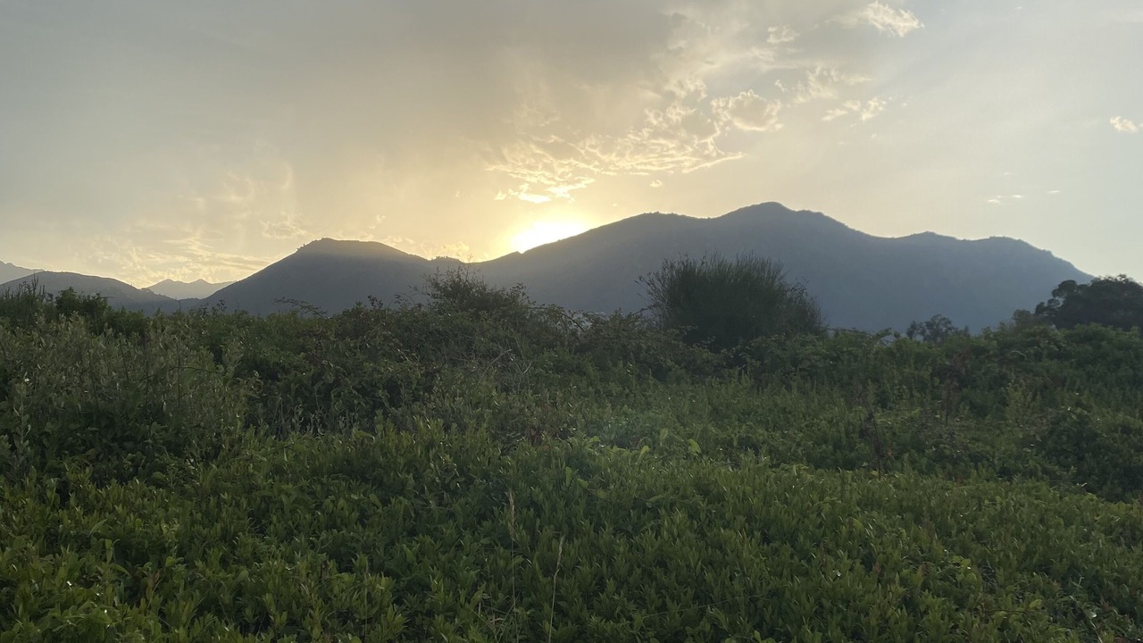 Photo of Outdoor in Prunete