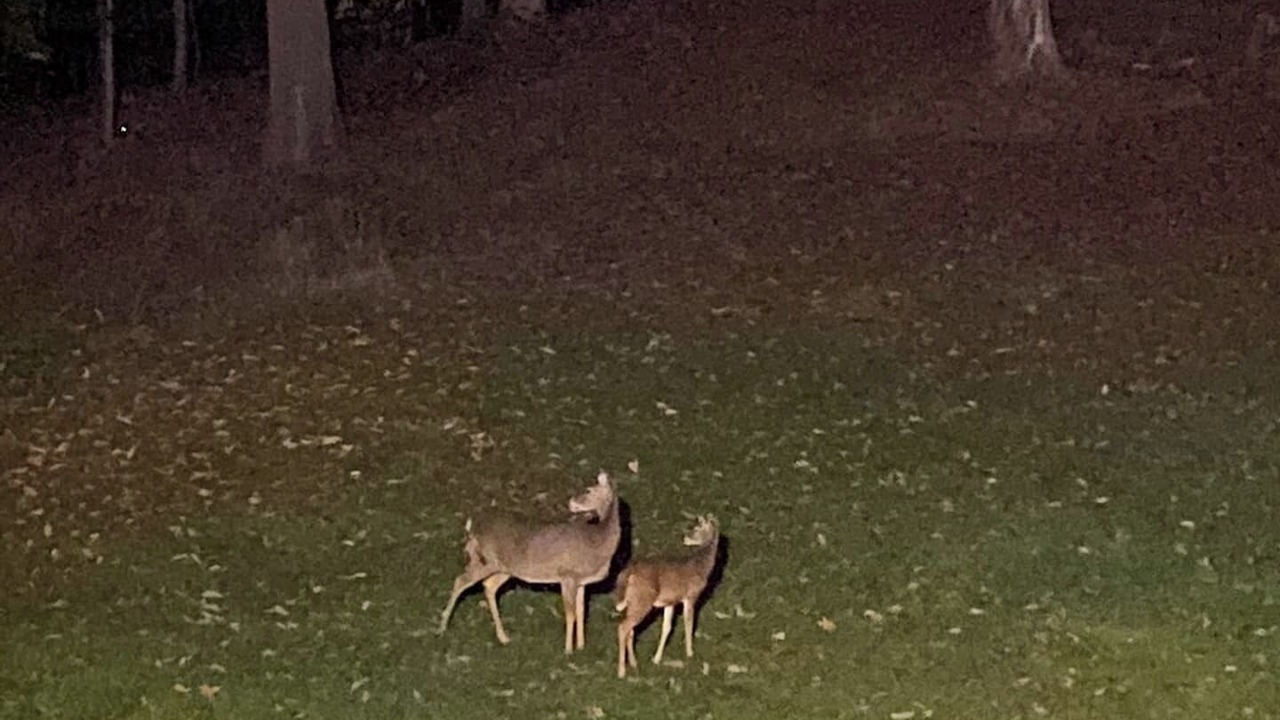 Photo of Outdoor in Charleston