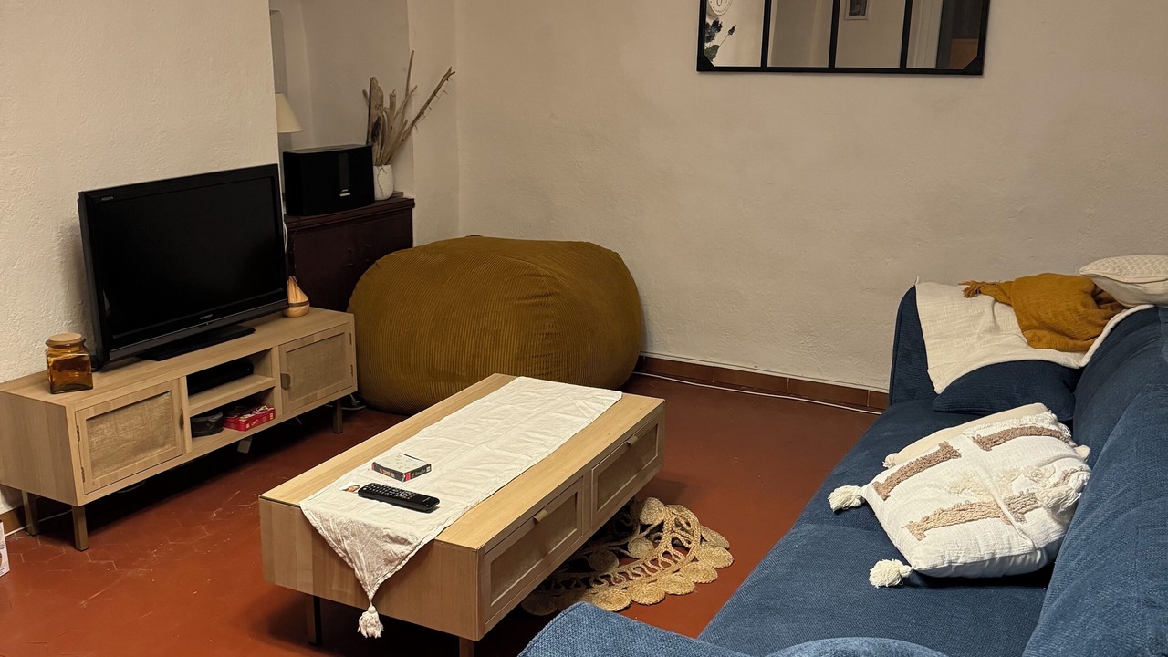 Photo of Livingroom in Aregno