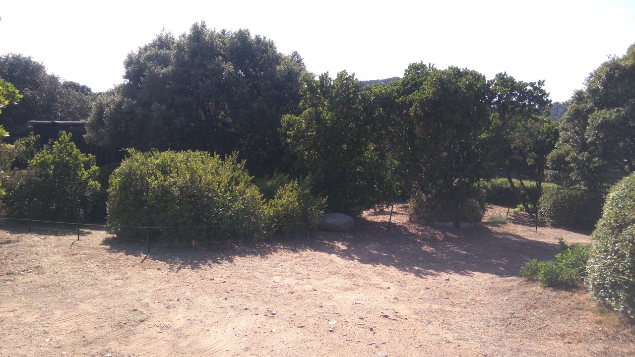 Photo of Outdoor in Pianotolli-Caldarello