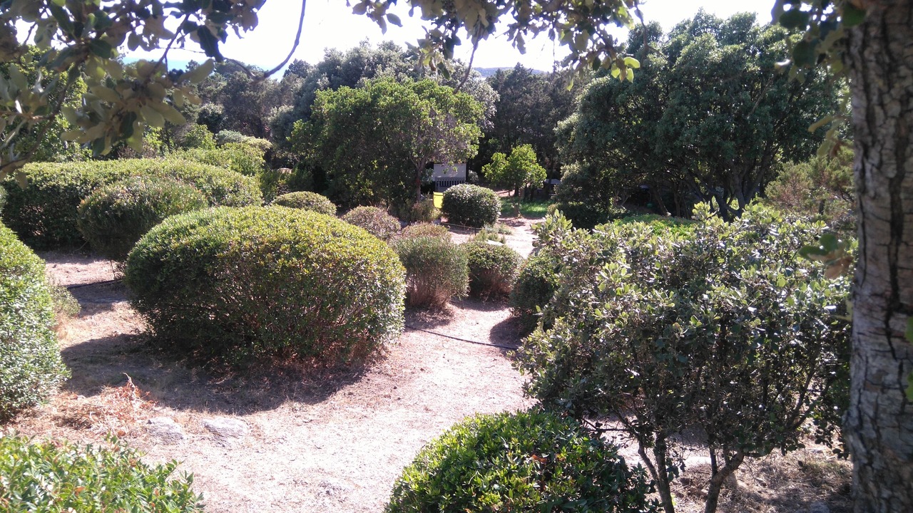 Photo of Outdoor in Pianotolli-Caldarello