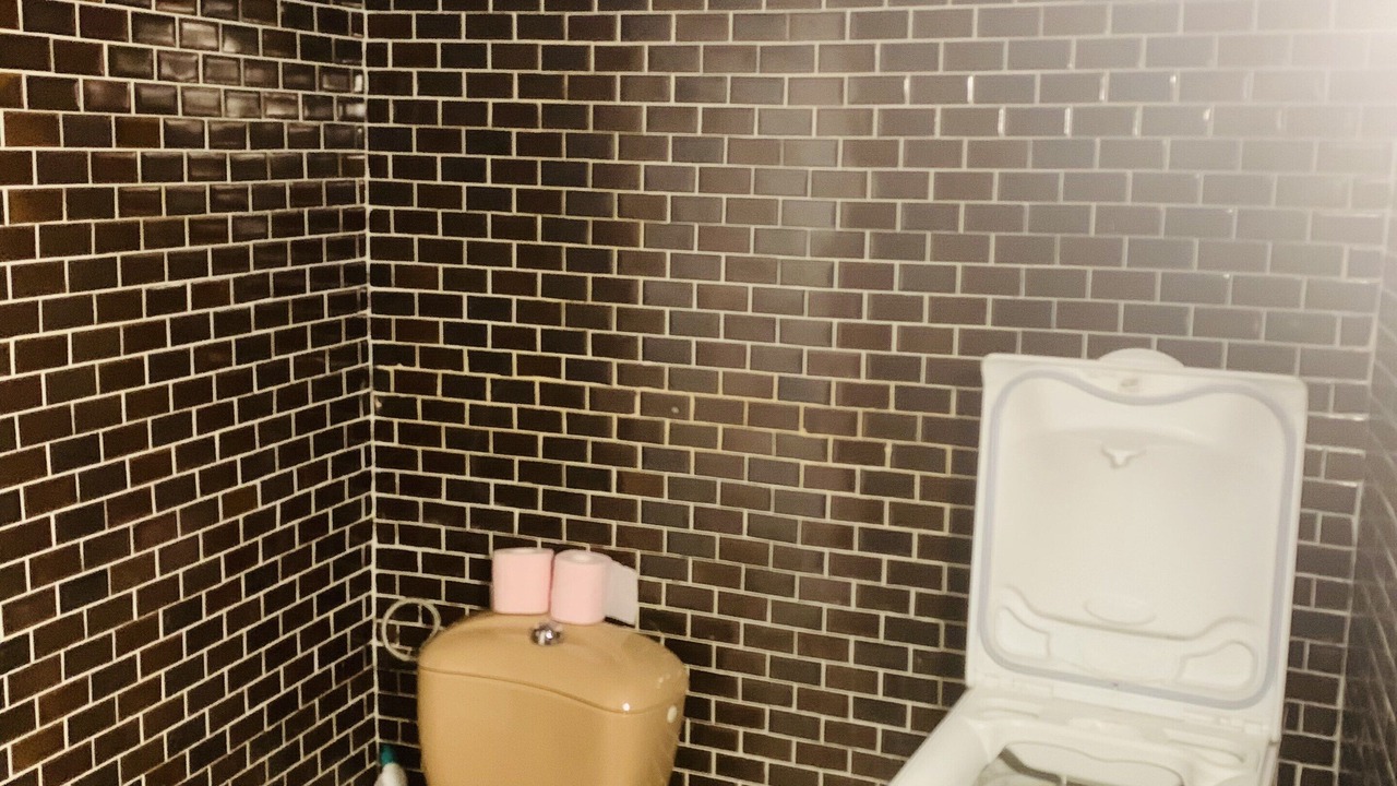 Photo of Bathroom in Ota