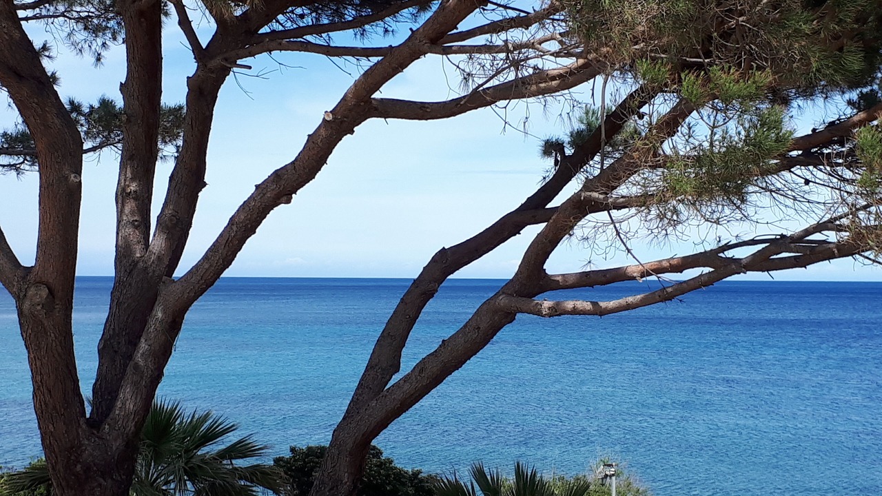 Photo of Others in Santa-Severa
