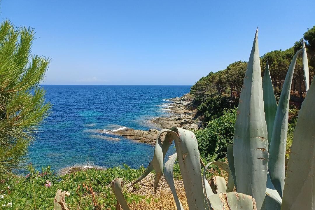 Photo of Outdoor in Santa-Severa