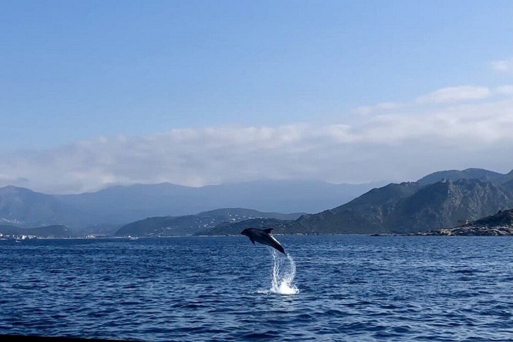 Photo of Others in Saint-Florent