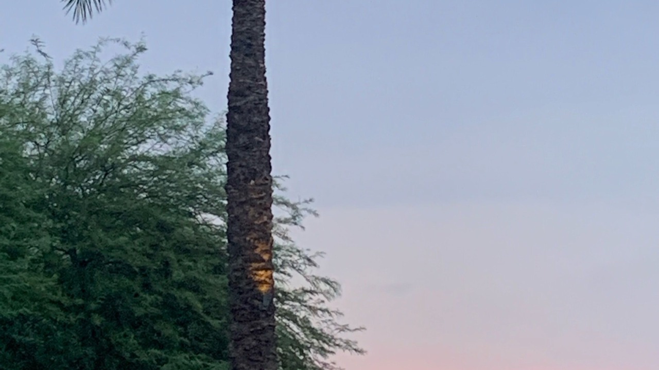 Photo of Others in Festival Ranch
