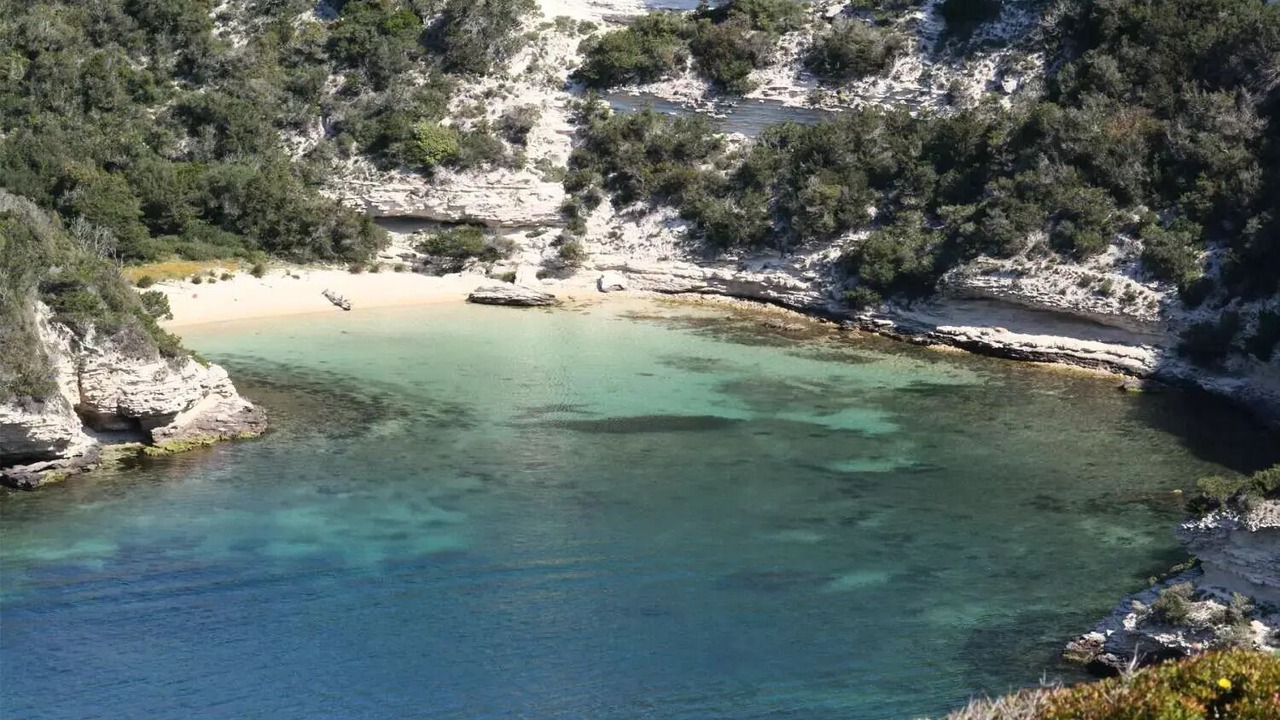 Photo of Others in Santa Giulia