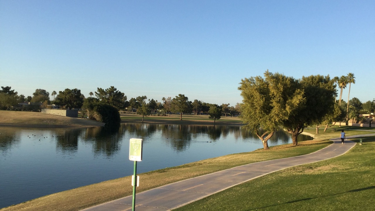 Photo of Others in South Scottsdale