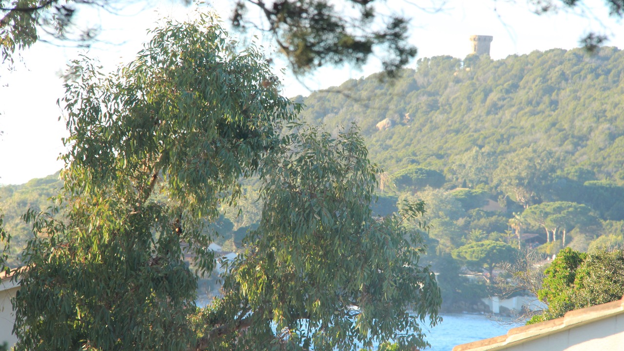 Photo of Others in Isolella