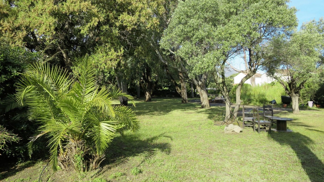 Photo of Others in Pineto