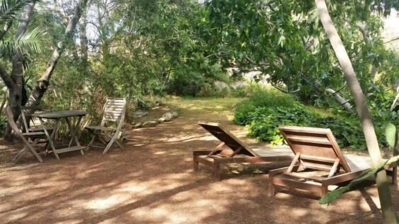 Photo of Outdoor in Calvi