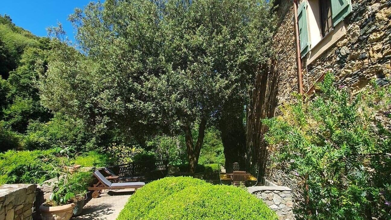 Photo of Outdoor in Oletta