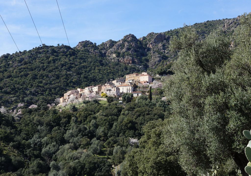 Photo of Outdoor in Moltifao