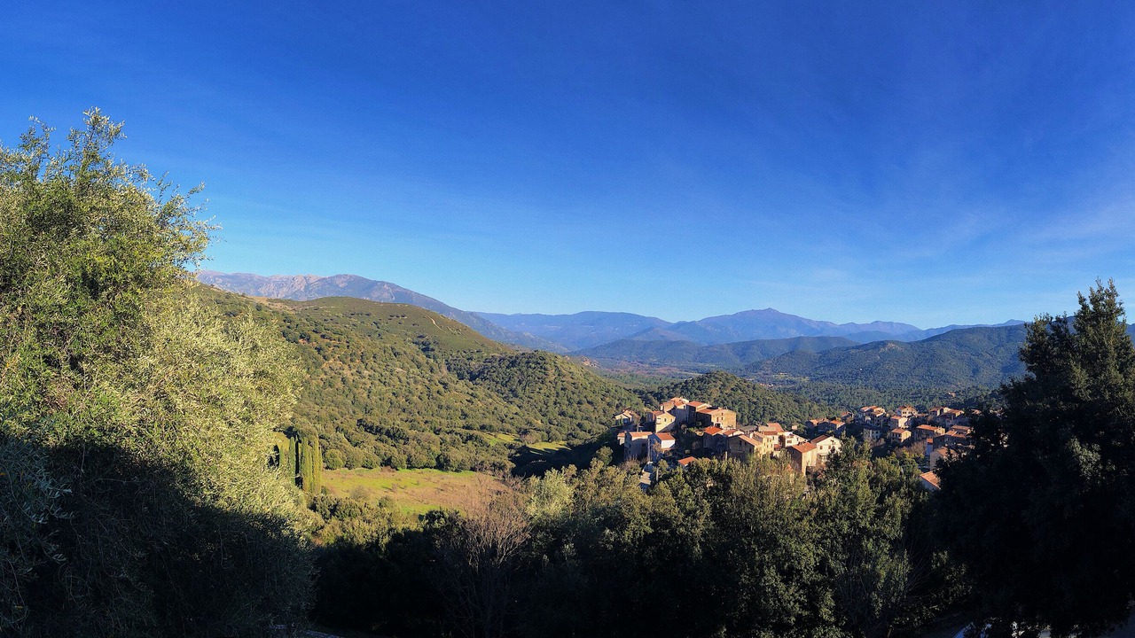 Photo of Others in Moltifao