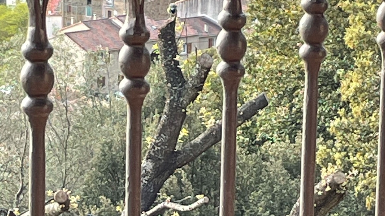 Photo of Outdoor in Moltifao