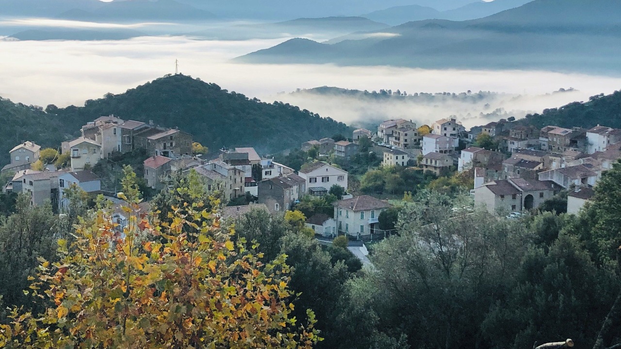Photo of Outdoor in Moltifao