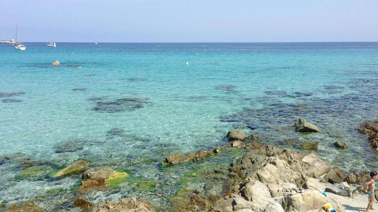 Photo of Others in L'Ile-Rousse