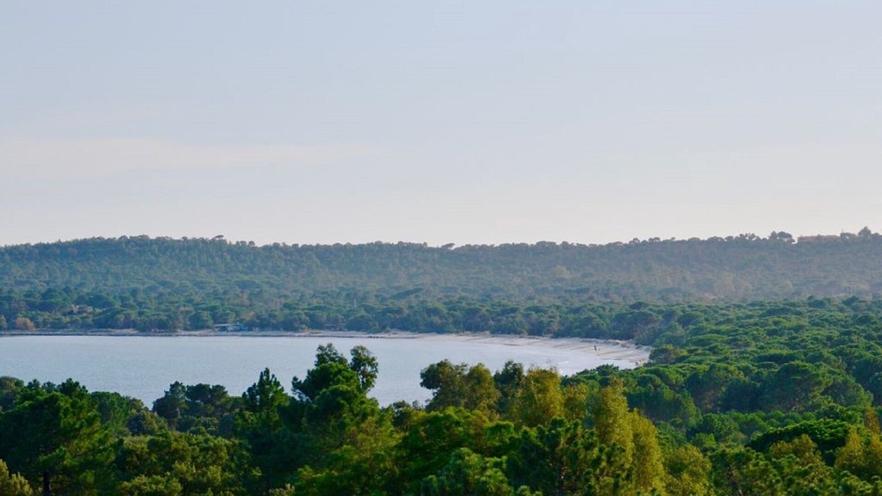 Photo of Others in Pinarellu