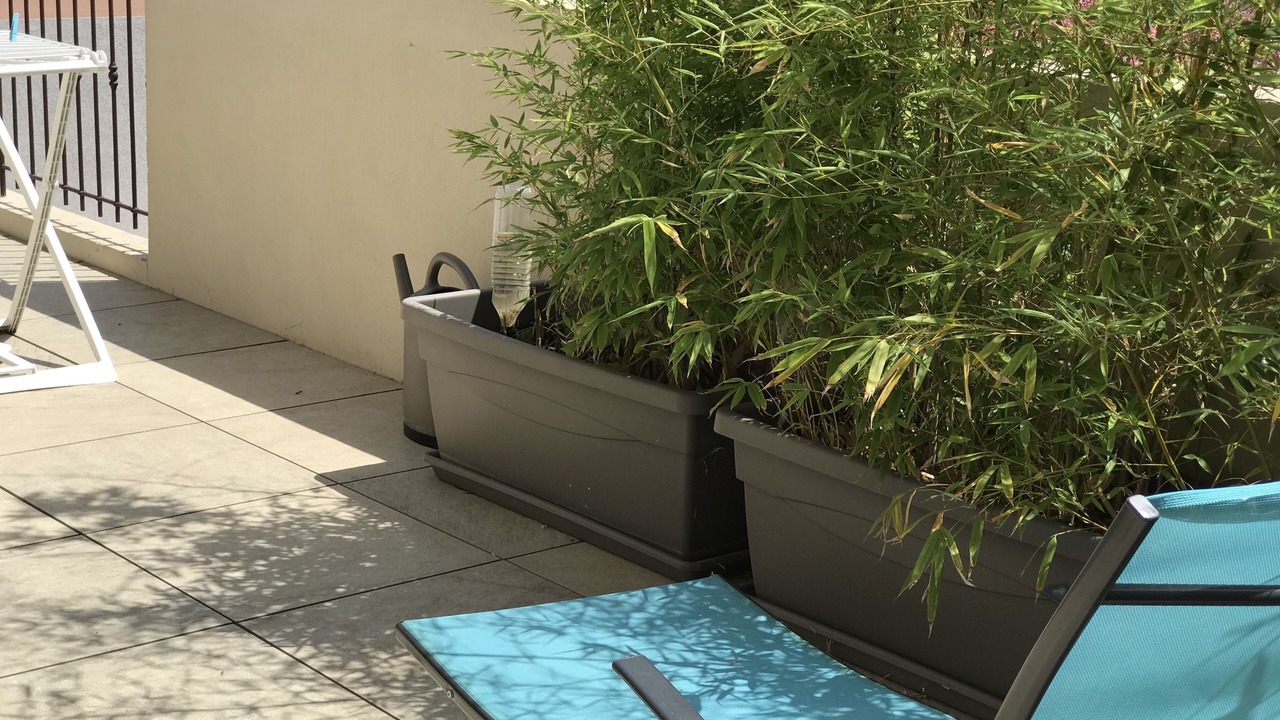Photo of Patio Balcony in Algajola