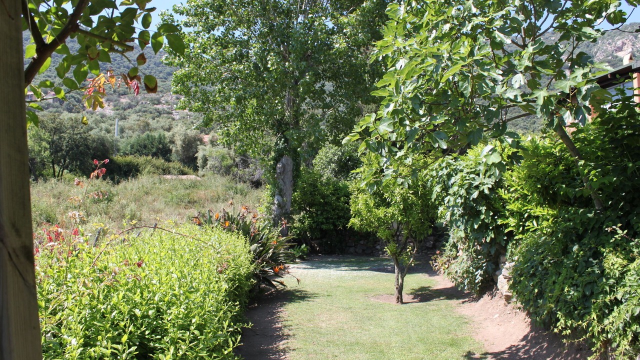 Photo of Outdoor in Cargese