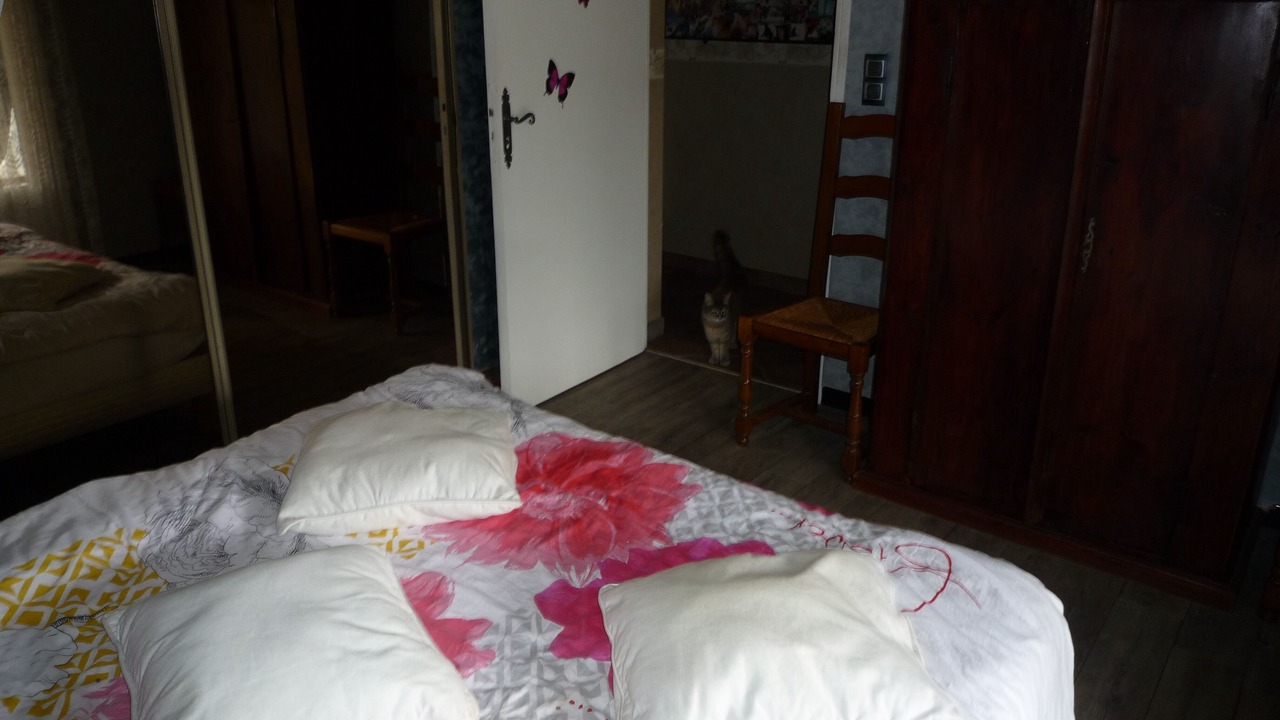 Photo of Bedroom in Folelli
